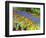 Display garden in full bloom-Terry Eggers-Framed Photographic Print