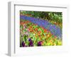 Display garden in full bloom-Terry Eggers-Framed Photographic Print