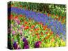 Display garden in full bloom-Terry Eggers-Stretched Canvas