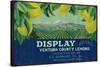 Display Lemon Label - Ventura, CA-Lantern Press-Stretched Canvas