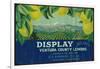 Display Lemon Label - Ventura, CA-Lantern Press-Framed Art Print