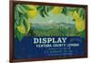 Display Lemon Label - Ventura, CA-Lantern Press-Framed Art Print