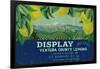 Display Lemon Label - Ventura, CA-Lantern Press-Framed Art Print