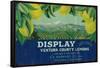 Display Lemon Label - Ventura, CA-Lantern Press-Framed Stretched Canvas