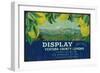 Display Lemon Label - Ventura, CA-Lantern Press-Framed Art Print