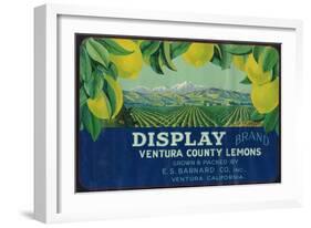 Display Lemon Label - Ventura, CA-Lantern Press-Framed Art Print