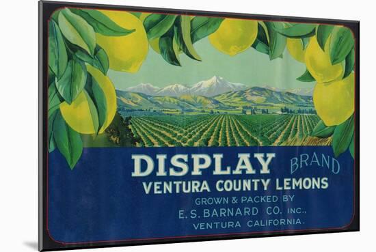 Display Lemon Label - Ventura, CA-Lantern Press-Mounted Art Print