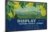 Display Lemon Label - Ventura, CA-Lantern Press-Mounted Art Print