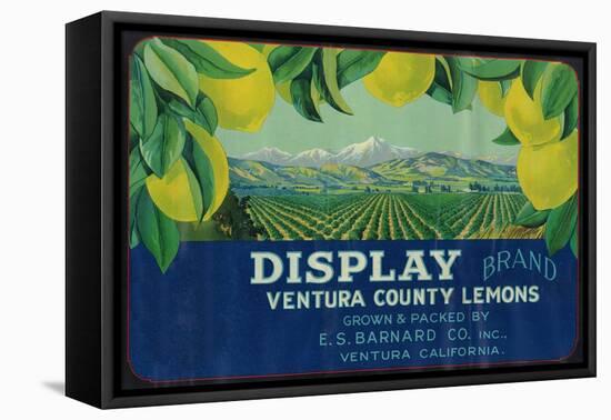 Display Lemon Label - Ventura, CA-Lantern Press-Framed Stretched Canvas