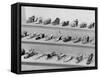 Display of Ferragamo Shoes-Alfred Eisenstaedt-Framed Stretched Canvas