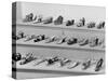 Display of Ferragamo Shoes-Alfred Eisenstaedt-Stretched Canvas