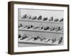 Display of Ferragamo Shoes-Alfred Eisenstaedt-Framed Photographic Print