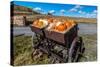 Display of Halloween Pumpkins, Hastings Mesa, Colorado - near Ridgway-null-Stretched Canvas