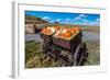 Display of Halloween Pumpkins, Hastings Mesa, Colorado - near Ridgway-null-Framed Photographic Print