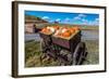 Display of Halloween Pumpkins, Hastings Mesa, Colorado - near Ridgway-null-Framed Photographic Print