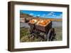 Display of Halloween Pumpkins, Hastings Mesa, Colorado - near Ridgway-null-Framed Photographic Print