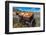 Display of Halloween Pumpkins, Hastings Mesa, Colorado - near Ridgway-null-Framed Photographic Print