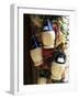 Display of Local Wine for Sale, Siena, Tuscany, Italy-Ruth Tomlinson-Framed Photographic Print