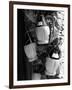 Display of Local Wine for Sale, Siena, Tuscany, Italy-Ruth Tomlinson-Framed Photographic Print