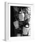 Display of Local Wine for Sale, Siena, Tuscany, Italy-Ruth Tomlinson-Framed Photographic Print