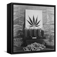 Display of Marijuana by the U.S. Treasury Department, Ca. 1940-49-null-Framed Stretched Canvas