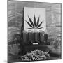 Display of Marijuana by the U.S. Treasury Department, Ca. 1940-49-null-Mounted Photo