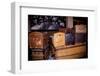 Display of old trunks and suitcases at Ellis Island National Park, New York City, New York-null-Framed Photographic Print