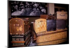 Display of old trunks and suitcases at Ellis Island National Park, New York City, New York-null-Mounted Photographic Print