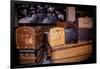 Display of old trunks and suitcases at Ellis Island National Park, New York City, New York-null-Framed Photographic Print