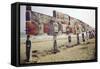 Display of Posters Mounted on Pilings in the Sand, Montauk Point, Long Island, New York, 1967-Henry Groskinsky-Framed Stretched Canvas