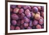 Display of Red Plums in the Caldas Da Rainha Open Air Market in Portugal-Mallorie Ostrowitz-Framed Photographic Print