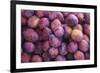 Display of Red Plums in the Caldas Da Rainha Open Air Market in Portugal-Mallorie Ostrowitz-Framed Photographic Print