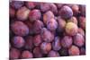 Display of Red Plums in the Caldas Da Rainha Open Air Market in Portugal-Mallorie Ostrowitz-Mounted Photographic Print