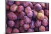 Display of Red Plums in the Caldas Da Rainha Open Air Market in Portugal-Mallorie Ostrowitz-Mounted Photographic Print