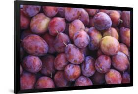 Display of Red Plums in the Caldas Da Rainha Open Air Market in Portugal-Mallorie Ostrowitz-Framed Photographic Print