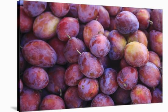 Display of Red Plums in the Caldas Da Rainha Open Air Market in Portugal-Mallorie Ostrowitz-Stretched Canvas