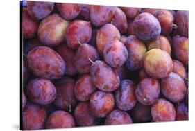 Display of Red Plums in the Caldas Da Rainha Open Air Market in Portugal-Mallorie Ostrowitz-Stretched Canvas
