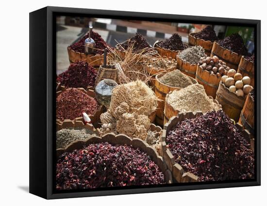 Display of Spices and Herbs in Market, Sharm El Sheikh, Egypt, North Africa, Africa-Adina Tovy-Framed Stretched Canvas