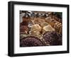 Display of Spices and Herbs in Market, Sharm El Sheikh, Egypt, North Africa, Africa-Adina Tovy-Framed Photographic Print