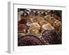 Display of Spices and Herbs in Market, Sharm El Sheikh, Egypt, North Africa, Africa-Adina Tovy-Framed Photographic Print