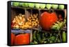 Display of Vegetables, Forsyth Park, Savannah, Georgia, USA-Joanne Wells-Framed Stretched Canvas