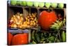 Display of Vegetables, Forsyth Park, Savannah, Georgia, USA-Joanne Wells-Stretched Canvas