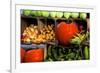 Display of Vegetables, Forsyth Park, Savannah, Georgia, USA-Joanne Wells-Framed Photographic Print