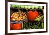 Display of Vegetables, Forsyth Park, Savannah, Georgia, USA-Joanne Wells-Framed Photographic Print