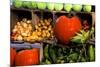 Display of Vegetables, Forsyth Park, Savannah, Georgia, USA-Joanne Wells-Mounted Photographic Print