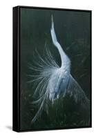 Displaying Egret-Michael Jackson-Framed Stretched Canvas