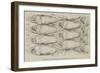 Disposition of the Hammocks on the Lower Deck of a Man-Of-War-null-Framed Giclee Print