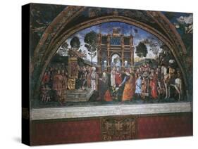 Dispute of St. Catherine (With Emperor Maximian)-Bernardino di Betto Pinturicchio-Stretched Canvas