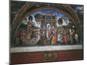Dispute of St. Catherine (With Emperor Maximian)-Bernardino di Betto Pinturicchio-Mounted Art Print