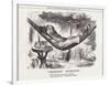 Disraeli, Hammock, Rest-John Tenniel-Framed Art Print